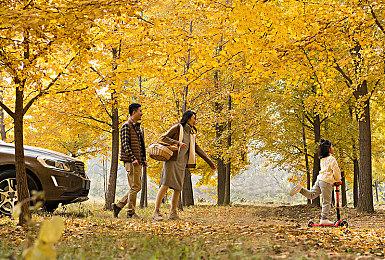 黑曜石叙事RPG新作《Pentiment》11月推出