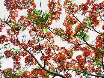 腾讯收购Inflexion Games 专注开发《Nightingale》