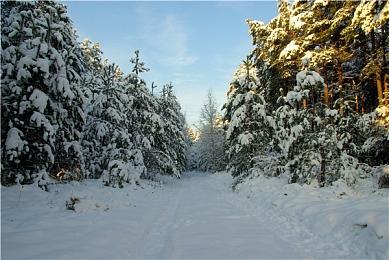 PC新游《Jazz Bar Soul | 渋谷》公开 真实版爵士吧模拟